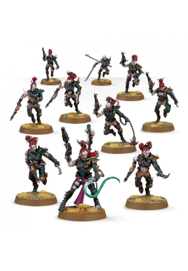 Wyches. Warhammer 40k: Drukhari