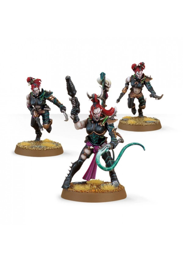 Wyches. Warhammer 40k: Drukhari
