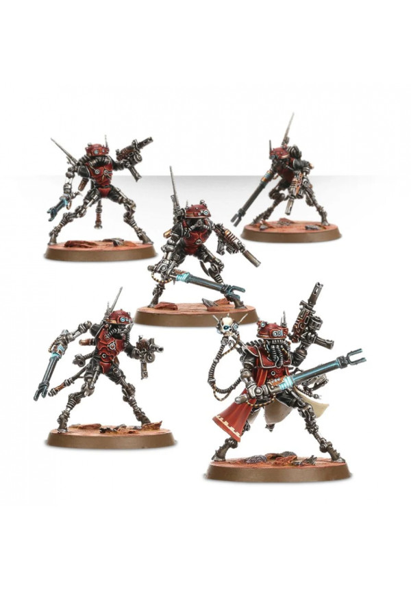 Sicarians