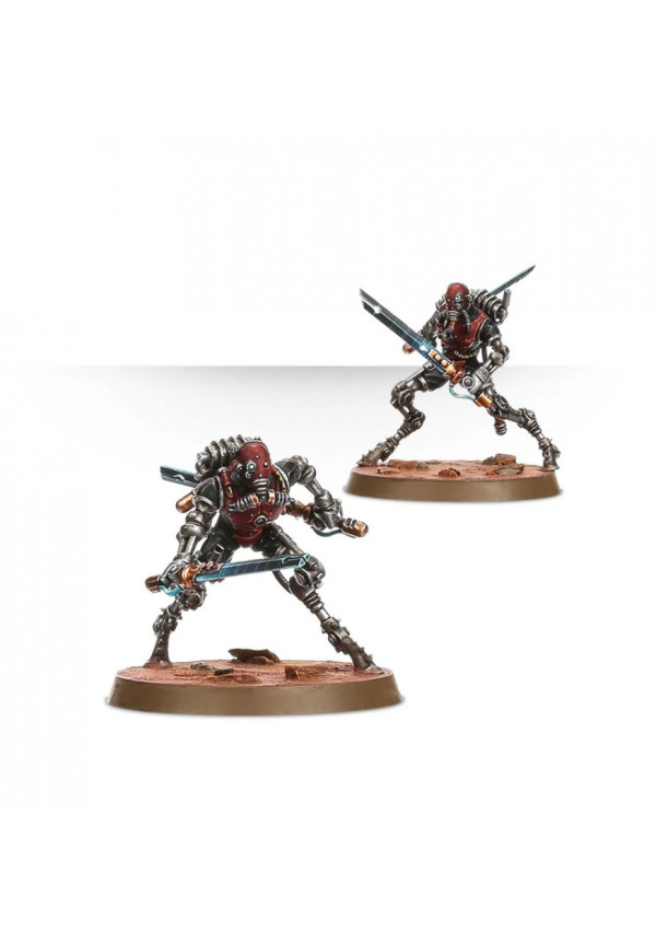 Sicarians