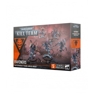 Kill Team Comando Mántifex