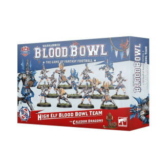 Blood Bowl: High Elf Team Blood Bowl: High Elf Team