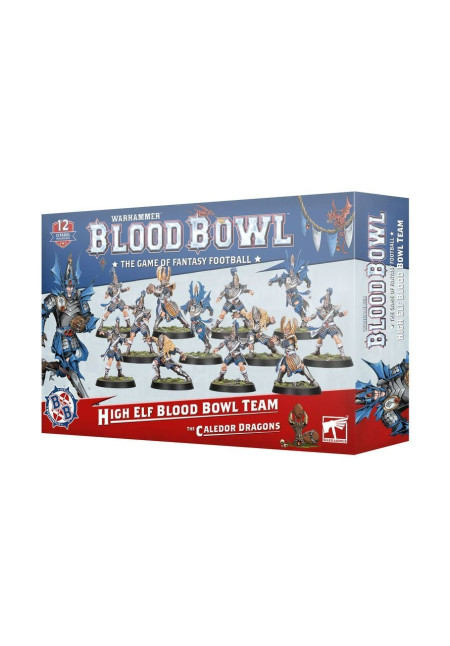 Blood Bowl: High Elf Team
