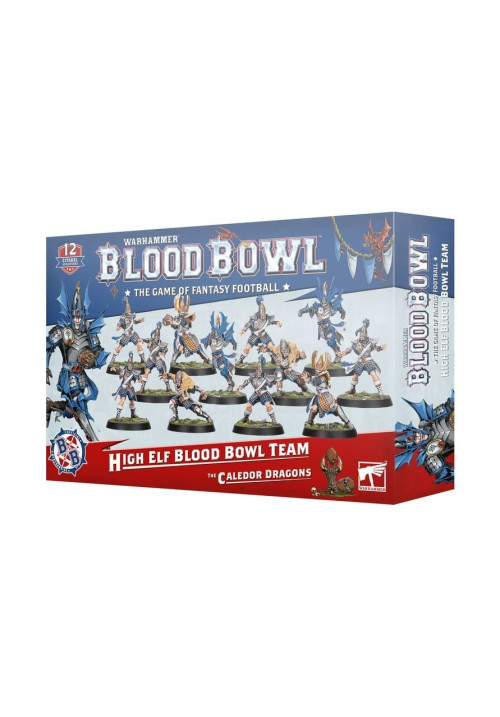 Blood Bowl: High Elf Team