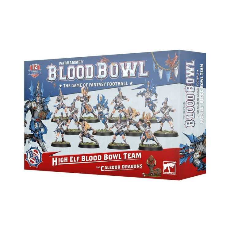 Blood Bowl: High Elf Team